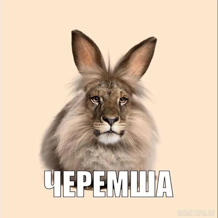 Cheremsha platformer — платформер про черемшу.