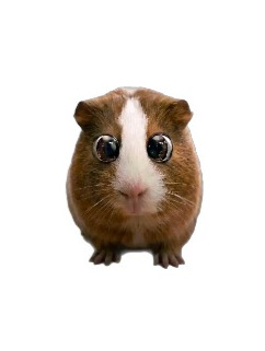 Plaksik Clicker