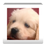 HotdogEd FIDO provider 2.13.5