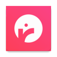 Record Bird 1.0.16