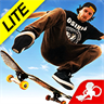 Skateboard Party 3 Lite