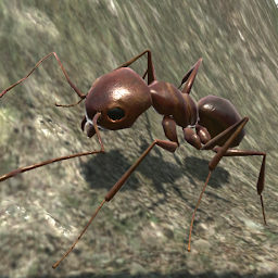 Ant Simulation 3D 2.3.6