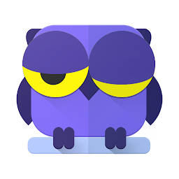 Night Owl 3.04