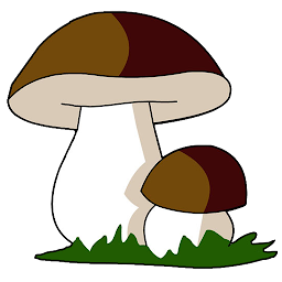 Грибы – справочник 1.5.5