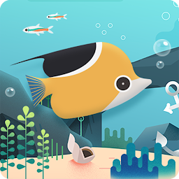 Puzzle Aquarium 133.0
