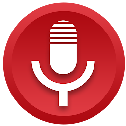 Диктофон Bestrecorder 86.1