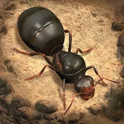 The Ants: Underground Kingdom 3.93.0