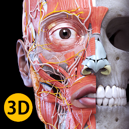 Анатомия – 3D Атлас 7.2