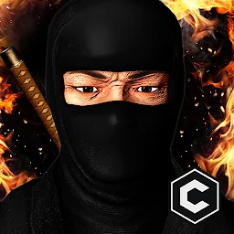 Ninja Assassin Stealth 31.0