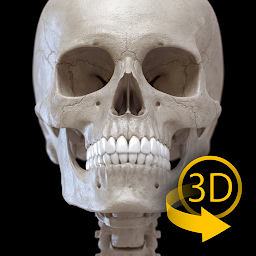 Скелет | 3D Анатомии 7.0.1