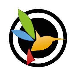 BlackVue 4.19
