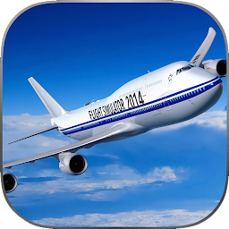 FlyWings 204 Flight Simulator 25.11.06