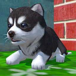 Cute Pocket Puppy 3D 1.23.7