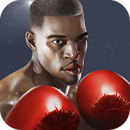 Punch Boxing 1.1.8
