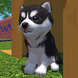 Cute Pocket Puppy 3D - Part 2 1.10.7