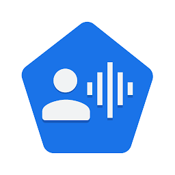 Google Voice Access 16.1.804460814