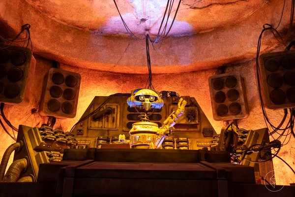 В калифорнийском Диснейленде открылась тематическая зона Star Wars Land