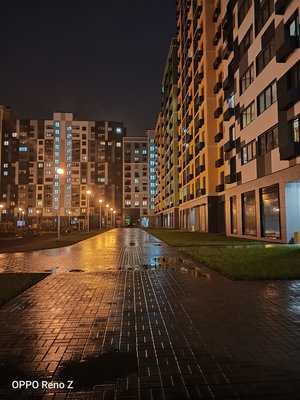 Носорог без рога: знакомимся с OPPO Reno Z — Камеры и фотовозможности. 22