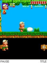 Adventure Island