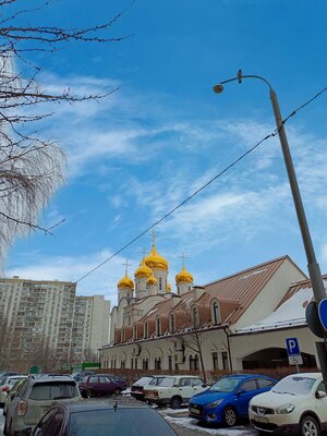 Эта фронталка лучше основной камеры. Обзор Infinix Zero 20