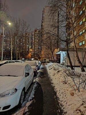 Эта фронталка лучше основной камеры. Обзор Infinix Zero 20