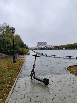 Мастер портретной фотографии с 12 ГБ ОЗУ и зарядкой 80 Вт: обзор Vivo 29 — Камеры. 3