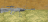 Droidman21