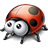 sas448