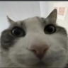 Robert_the_Negr