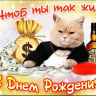 kolya_kolya_koly