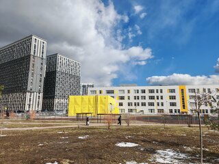 Обзор HONOR Magic 7: как можно лучшее за как можно меньшую цену