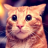 DANIL_M