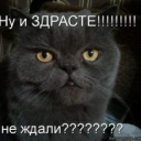 aleksandrdysuk9