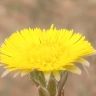 WeArchive22