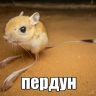 nigr666
