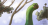 Poli_tick