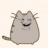 Webster