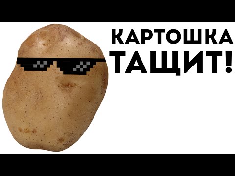 __TCAPT__