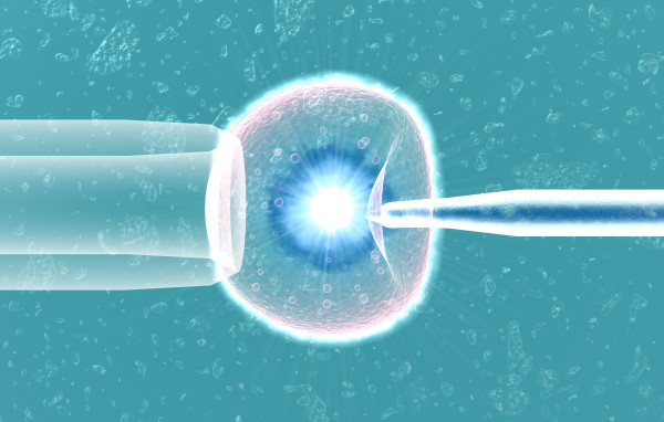 Что такое CRISPR — технология, которая изменит мир