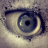 Wil_Cat