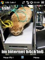 LOL Cats 1.0