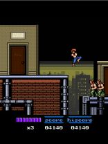 Double Dragon 2: The Revenge