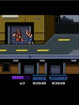Double Dragon 2: The Revenge