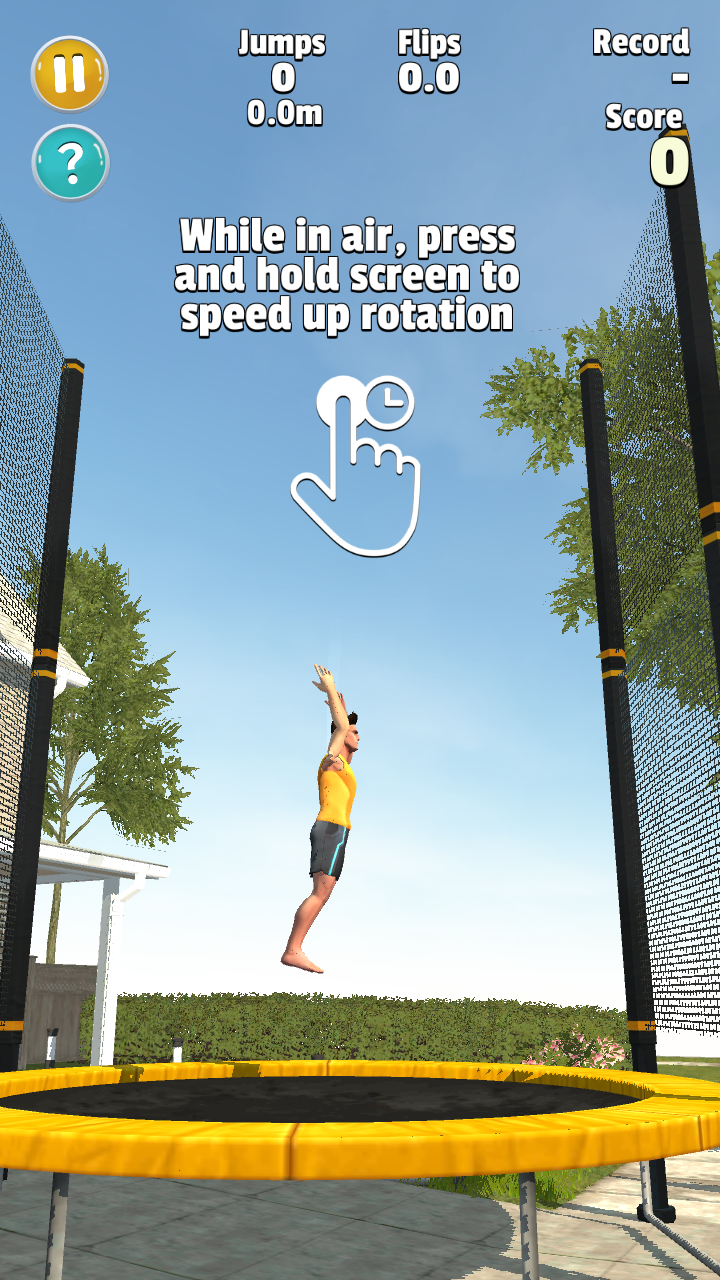 Flip Master 3.6.00. Скриншот 2