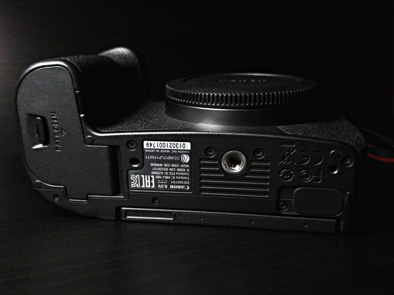 По Прибалтике с Canon EOS R. Полевое тестирование новой системы