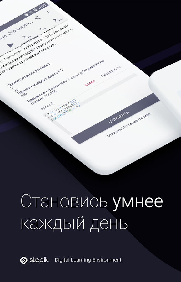 Stepik 1.222.1. Скриншот 1