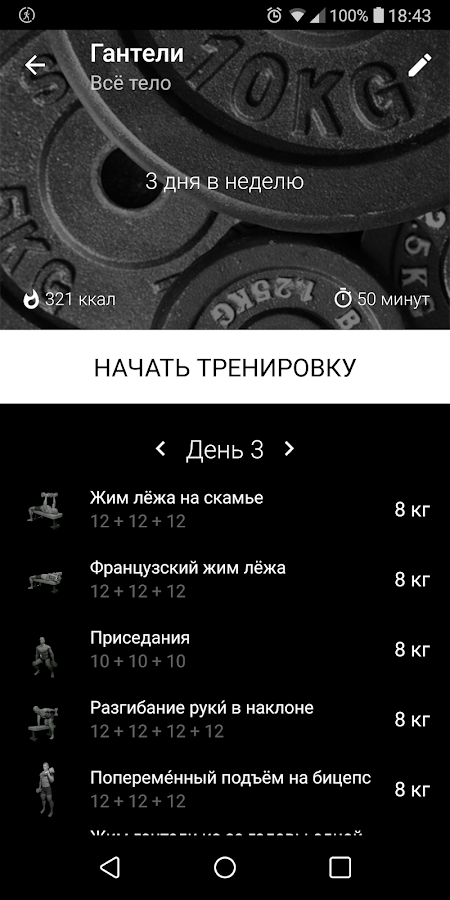 Гантели – тренировка дома 26.08.03. Скриншот 1