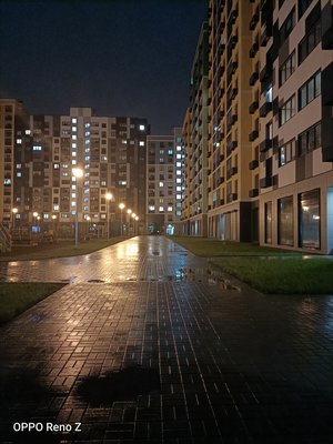 Носорог без рога: знакомимся с OPPO Reno Z — Камеры и фотовозможности. 23