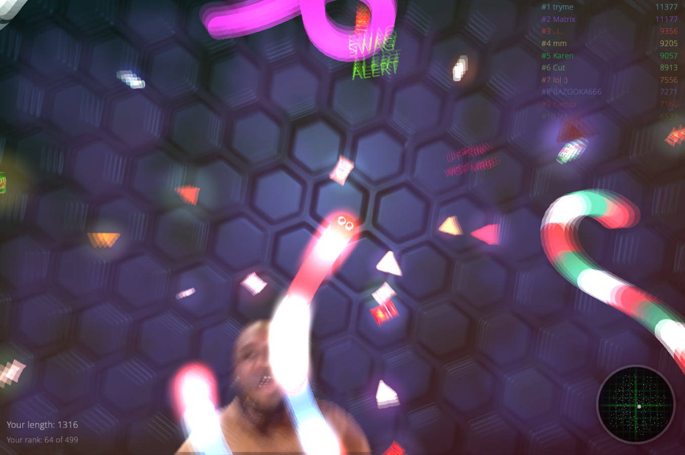 Snake MLG Edition 5.7.2.8401. Скриншот 2