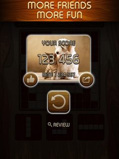 Woody Block Puzzle 4.0.3. Скриншот 2